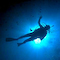 Diver